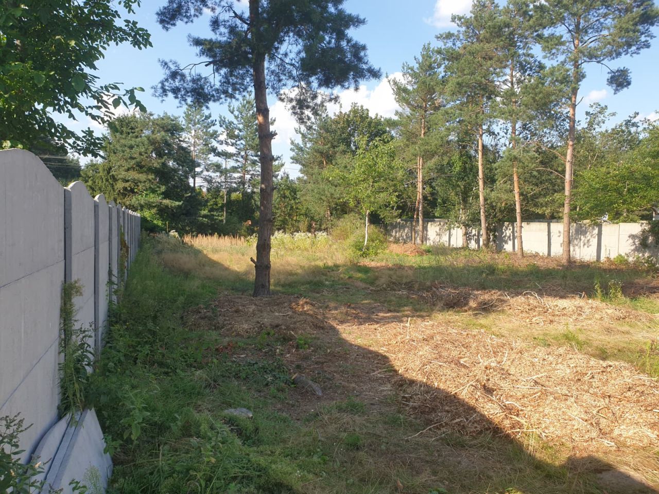 Działka budowlana Kolonia Zawada, ul. Główna