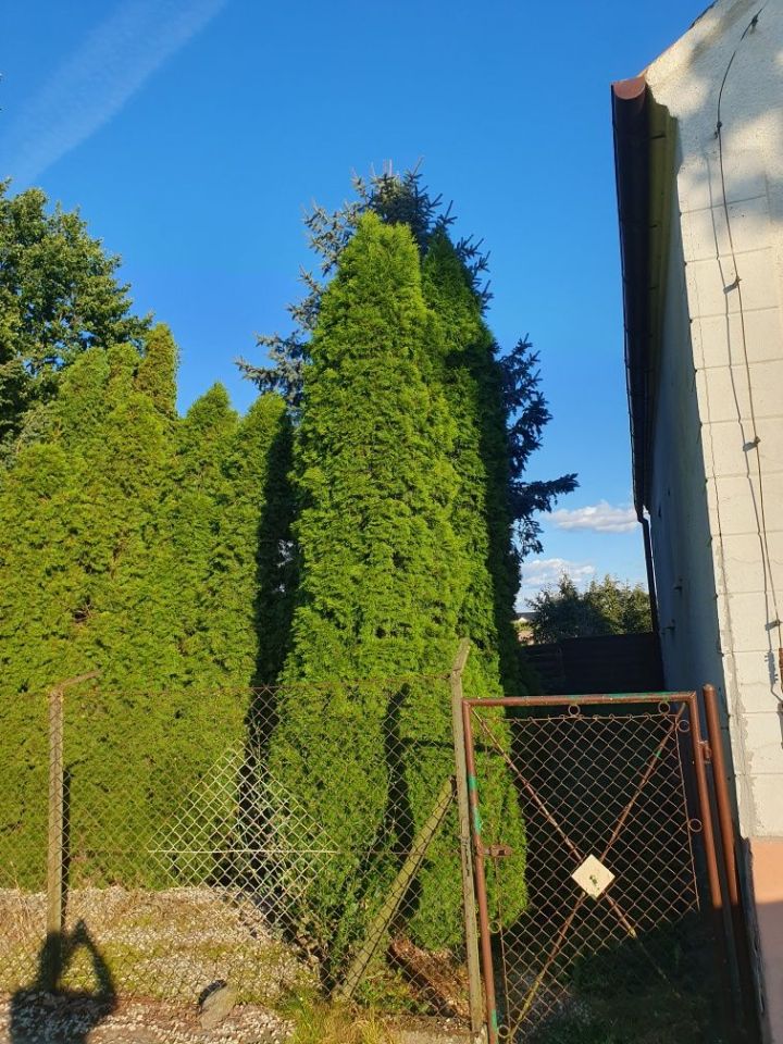 siedlisko Borek. Zdjęcie 7