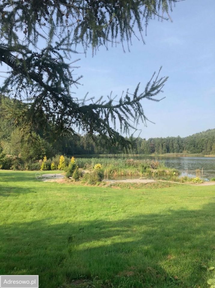 Działka budowlana Wolny Dwór. Zdjęcie 4