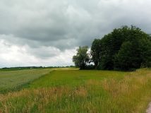 Działka inna Zalesie. Zdjęcie 3