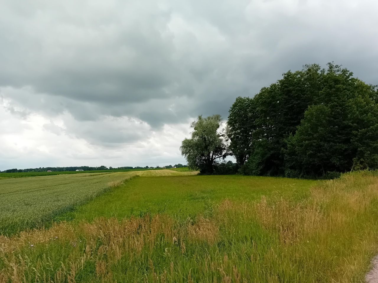 Działka inna Zalesie. Zdjęcie 4