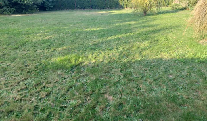 Działka budowlana Syców, ul. Wierzbowa