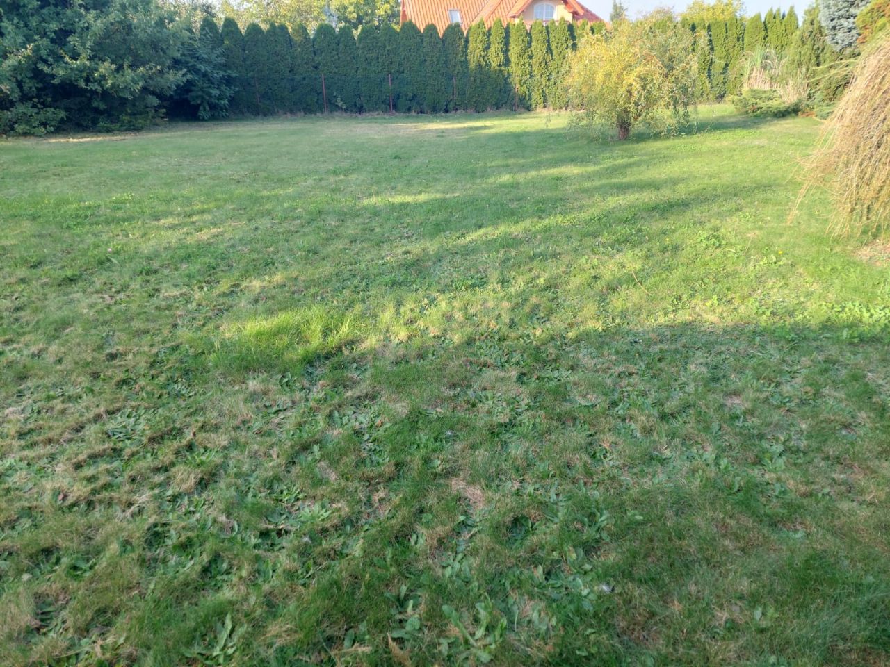 Działka budowlana Syców, ul. Wierzbowa. Zdjęcie 1