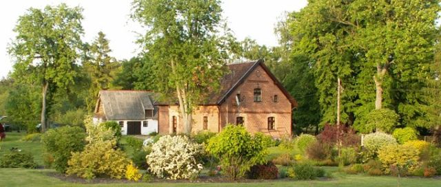 Działka siedliskowa Ulnowo. Zdjęcie 1
