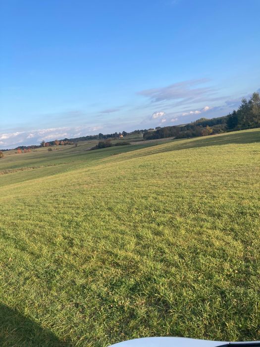 Działka rolna Burdąg. Zdjęcie 4