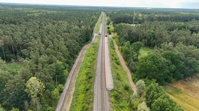Działka budowlana Psucin, ul. Leśna. Zdjęcie 18