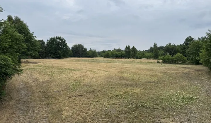 Działka budowlana Marki, ul. Leśna