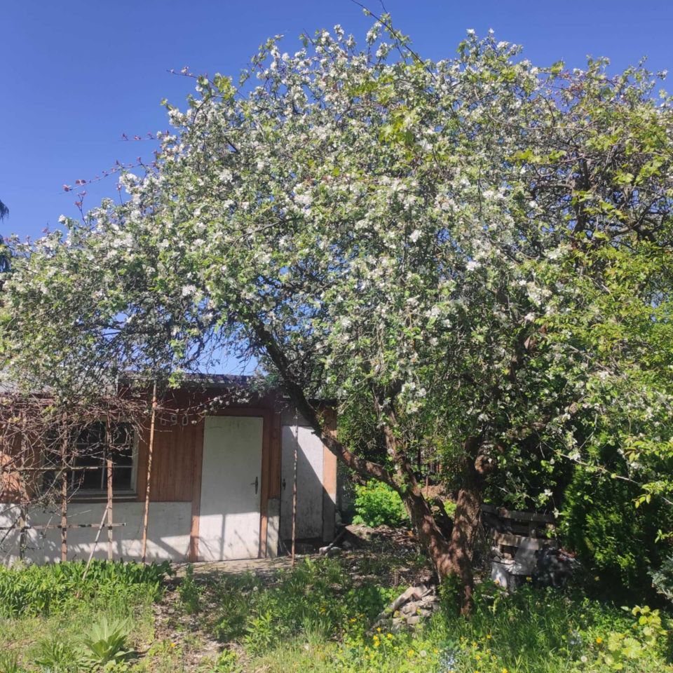 Działka rod Poznań Ławica, ul. Bukowska