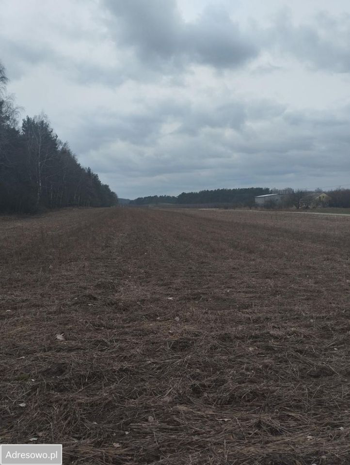 Działka budowlana Lesiew. Zdjęcie 3