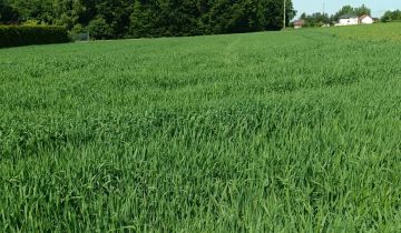 Działka budowlana Rudzica