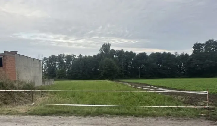 Działka budowlana Golina, ul. Wolności