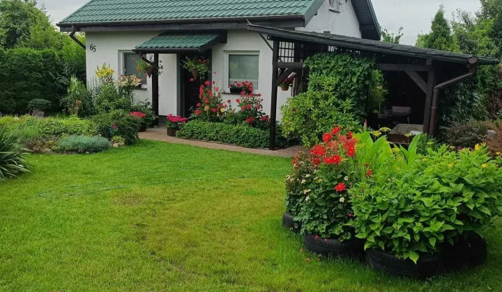 Działka rod Międzychód