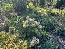 Działka rod Warszawa. Zdjęcie 1