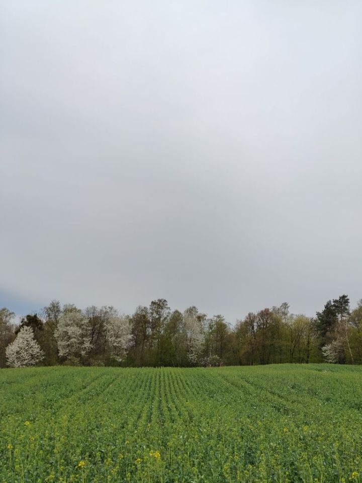 Działka budowlana Zastawie-Kolonia. Zdjęcie 3