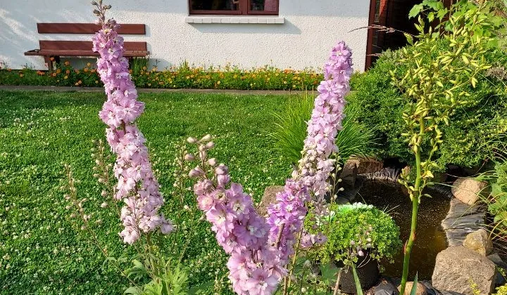 Działka rod Poznań Naramowice, ul. Miętowa