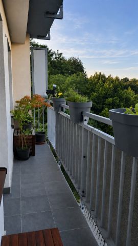 Mieszkanie 4-pokojowe Będzin. Zdjęcie 15
