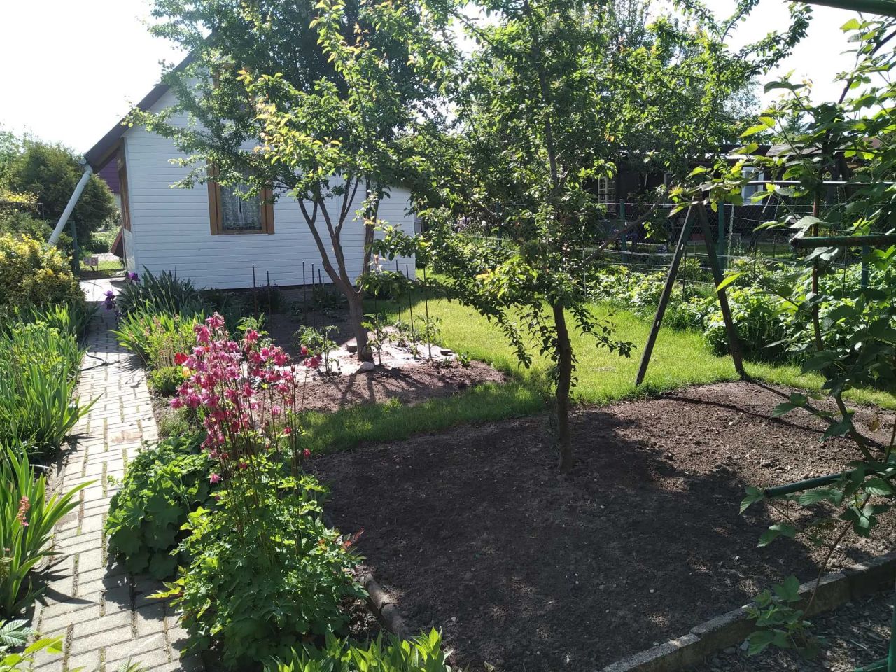 Działka rod Białystok Centrum. Zdjęcie 3