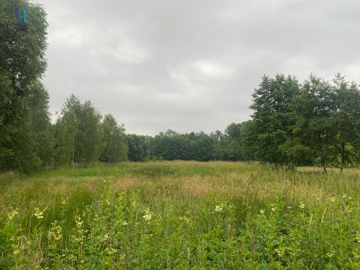 Działka budowlana Dąbrówka Wielka, ul. Główna. Zdjęcie 4