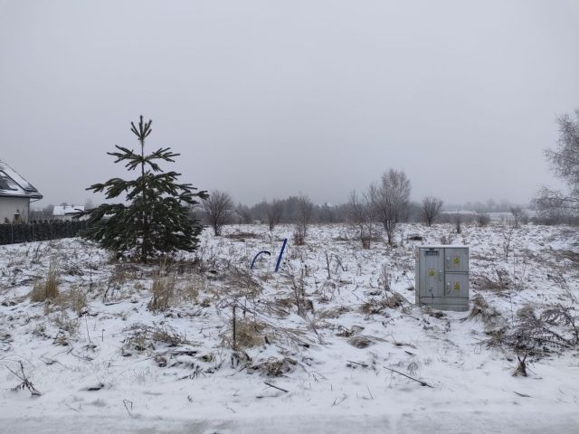 Działka budowlana Morąg, ul. Modrzewiowa. Zdjęcie 1