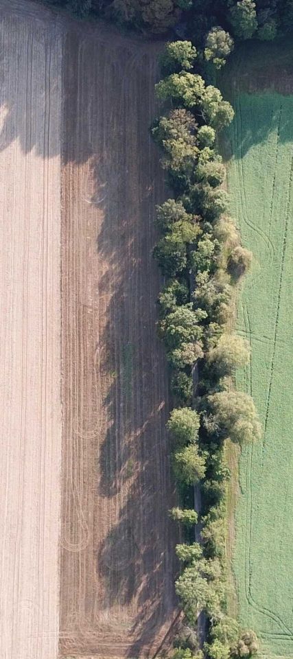 Działka budowlana Syców, ul. Polna. Zdjęcie 2