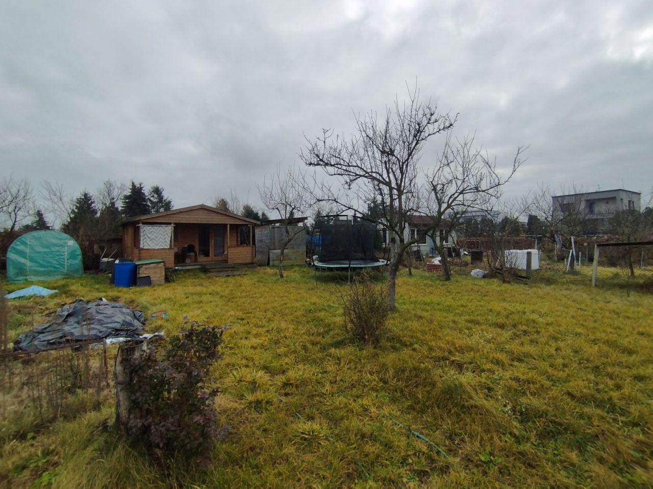 Działka rod Leszno. Zdjęcie 2