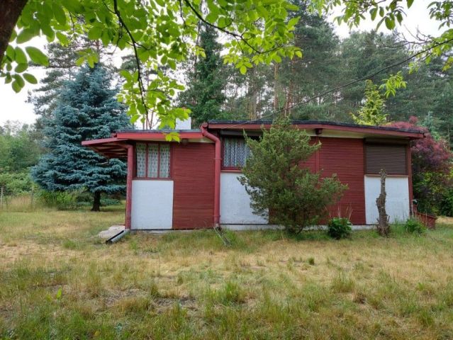 Działka budowlana Drużbice. Zdjęcie 6