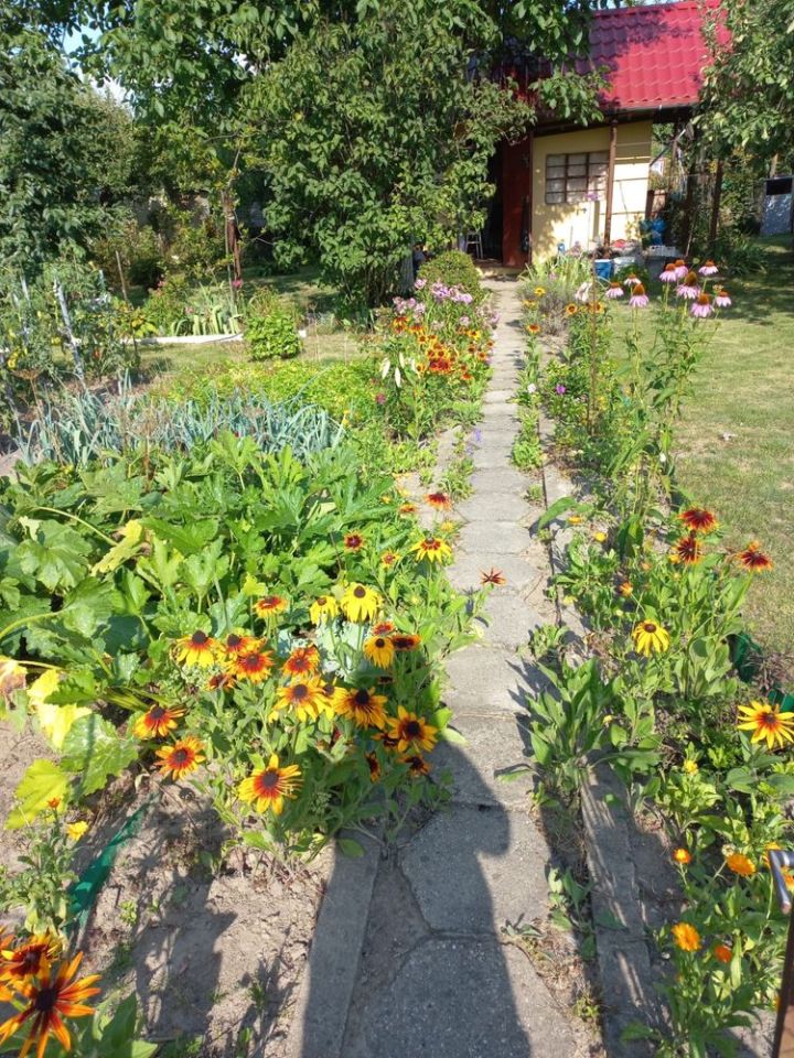 Działka rod Wrocław Psie Pole, ul. Bierutowska. Zdjęcie 6