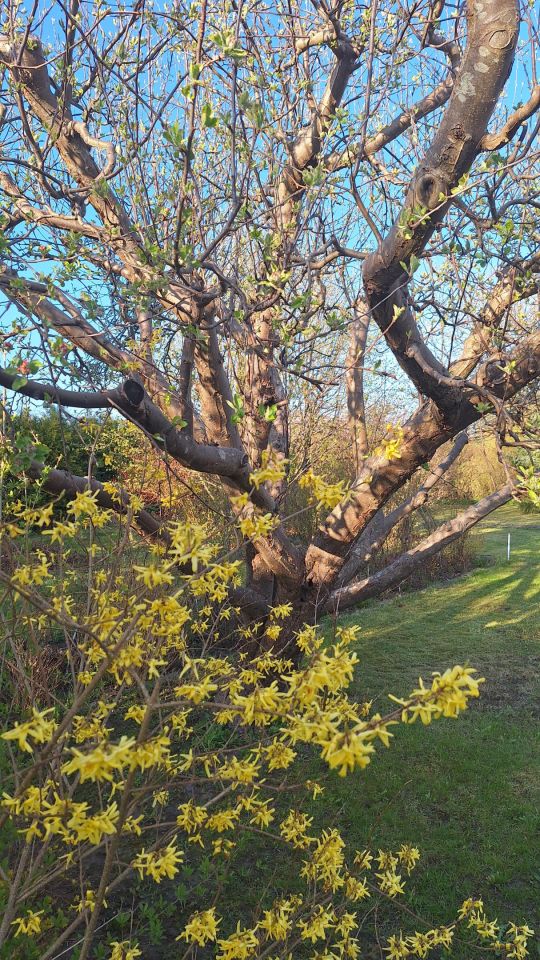 Działka rod Koszalin Północ, ul. Aleja Europejska. Zdjęcie 7