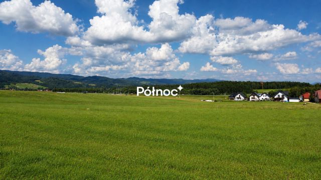 Działka rolna Ostrowsko. Zdjęcie 3