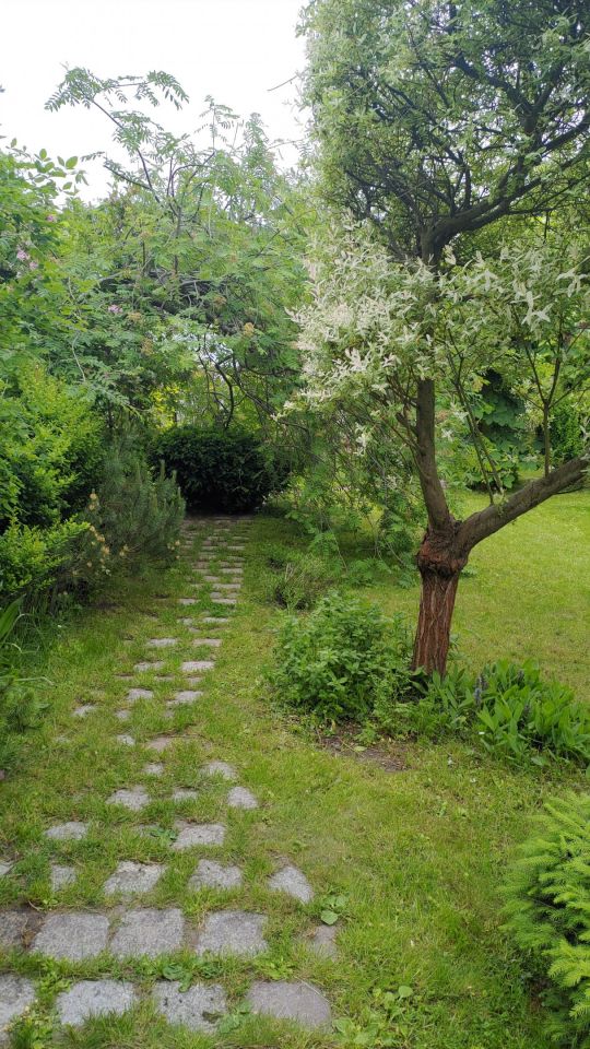 Działka rekreacyjna Czarne Małe. Zdjęcie 48