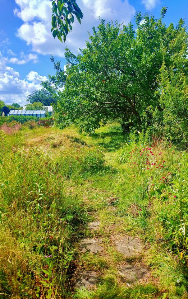 Działka rod Białogard, ul. Bolesława Śmiałego. Zdjęcie 3