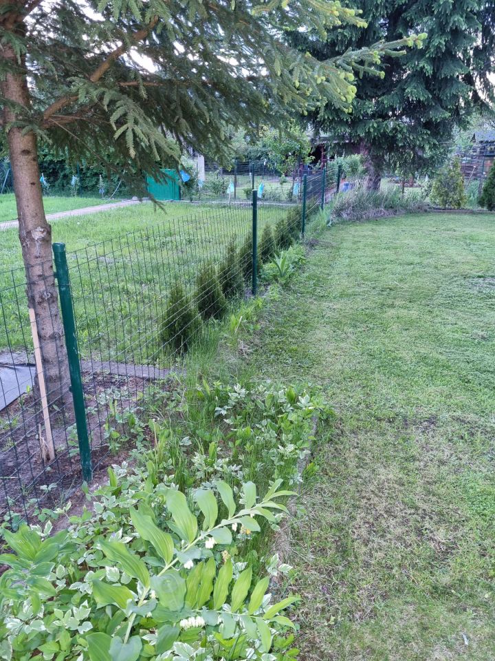 Działka rod Gorzów Wielkopolski Zawarcie, ul. Jasna. Zdjęcie 4