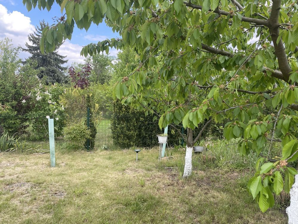 Działka rod Opole, ul. Częstochowska. Zdjęcie 7