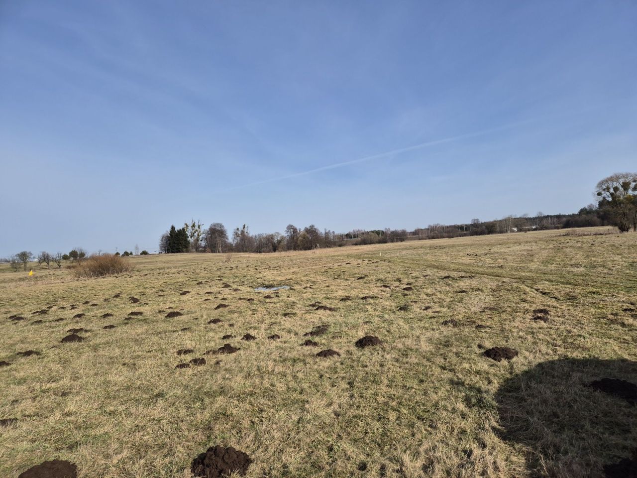 Działka rolna Życzyn. Zdjęcie 3