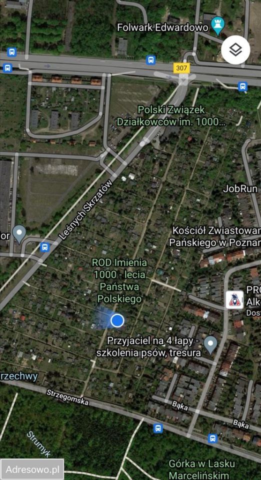 Działka rod Poznań Grunwald, ul. Bukowska. Zdjęcie 9