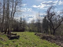 Działka rolno-budowlana Grabówki. Zdjęcie 3