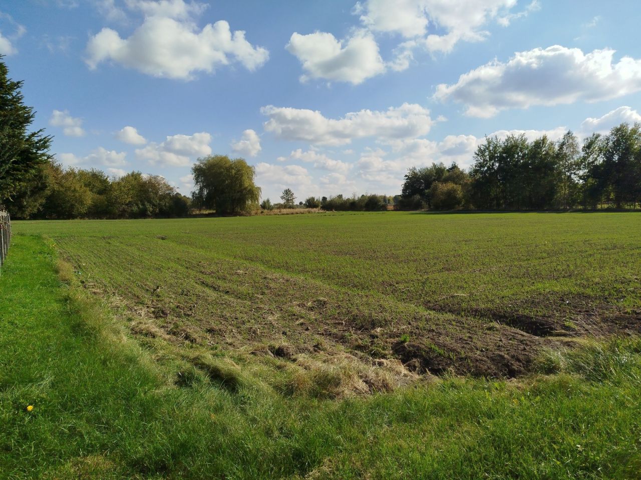 Działka budowlana Siedlec. Zdjęcie 3