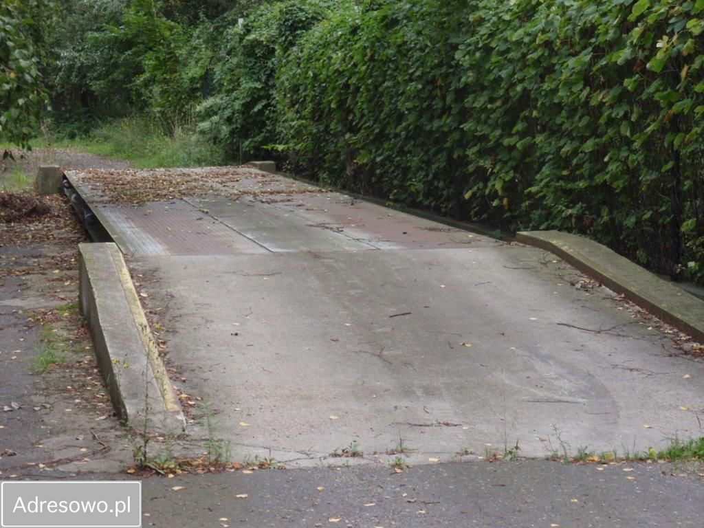 Hala/magazyn Ząbkowice Śląskie. Zdjęcie 7