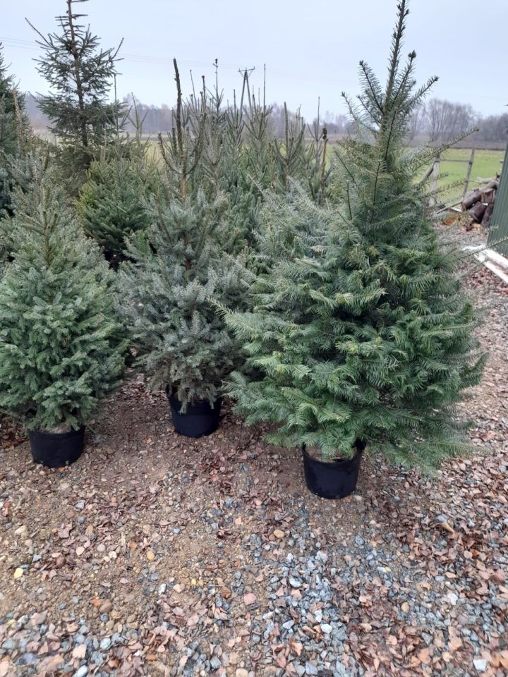 Działka rolna Kalisz, ul. Pokrzywnicka. Zdjęcie 5