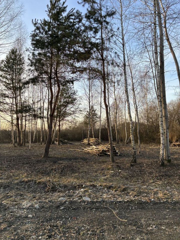 Działka budowlana Lipsko-Polesie. Zdjęcie 5