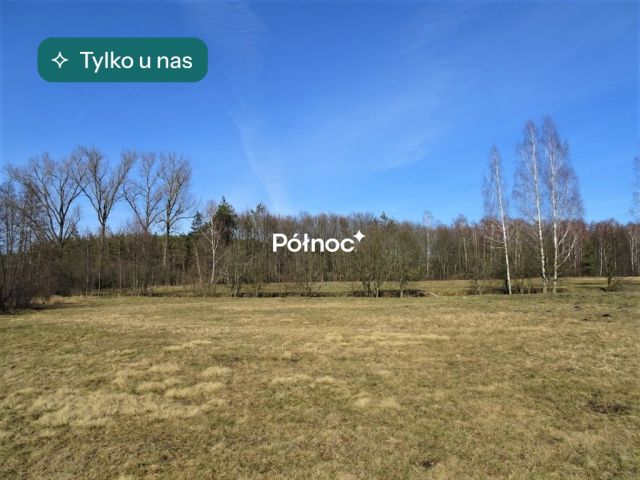 Działka rolna Cieleśnica. Zdjęcie 1