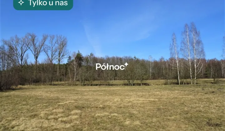 Działka rolna Cieleśnica