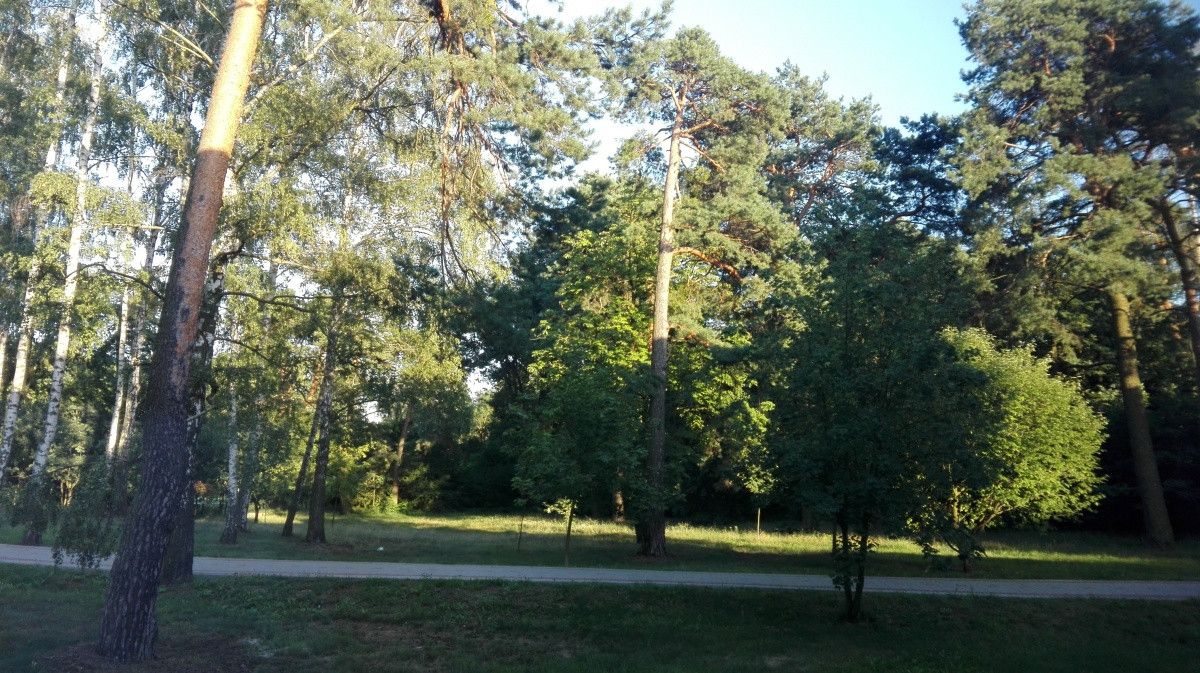 Biuro Warszawa Wesoła, pl. Wojska Polskiego. Zdjęcie 5