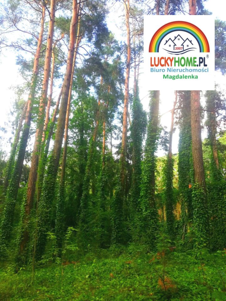 Działka budowlana Magdalenka. Zdjęcie 3