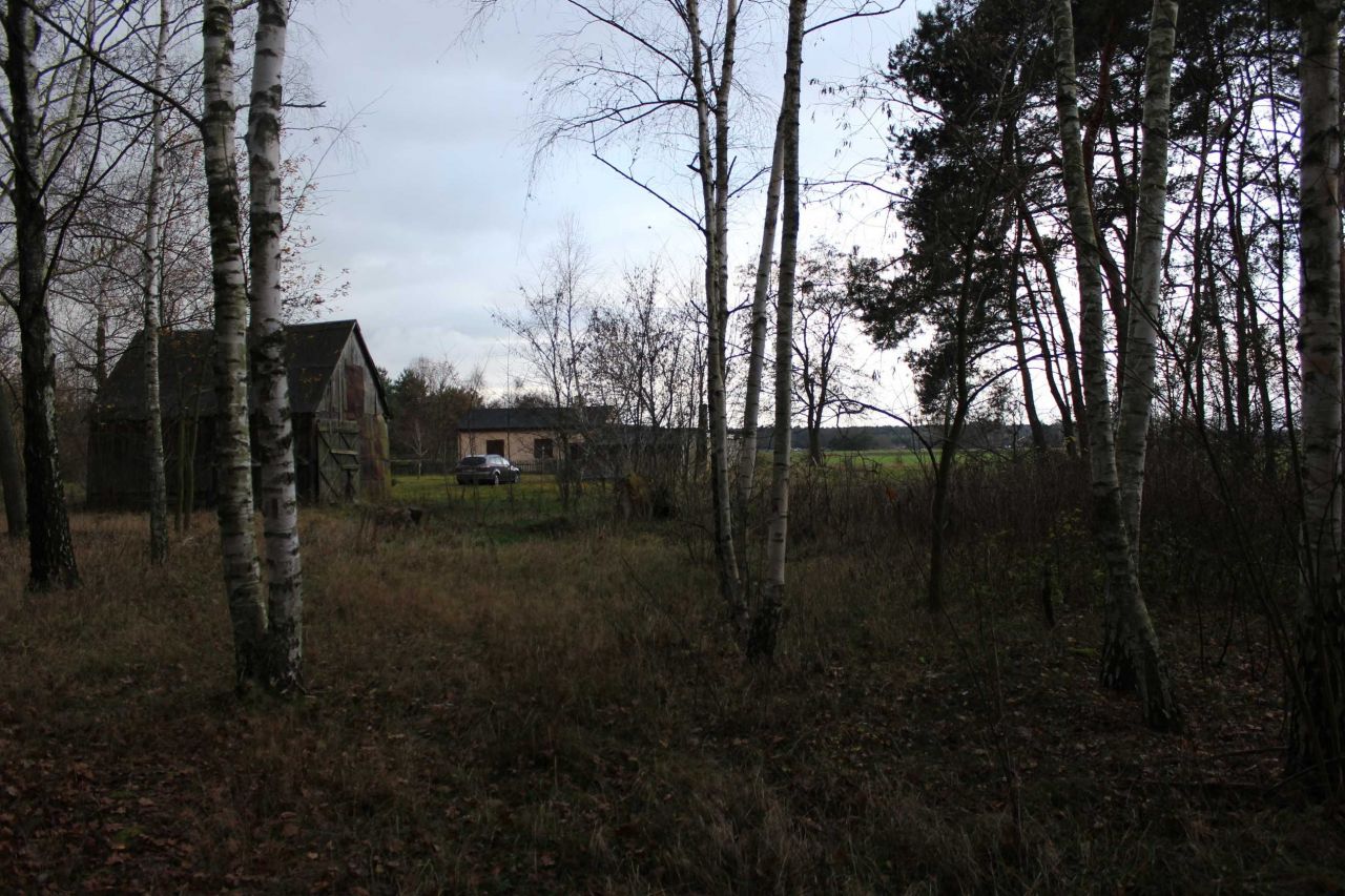 Działka siedliskowa Wólka Wysoka. Zdjęcie 2