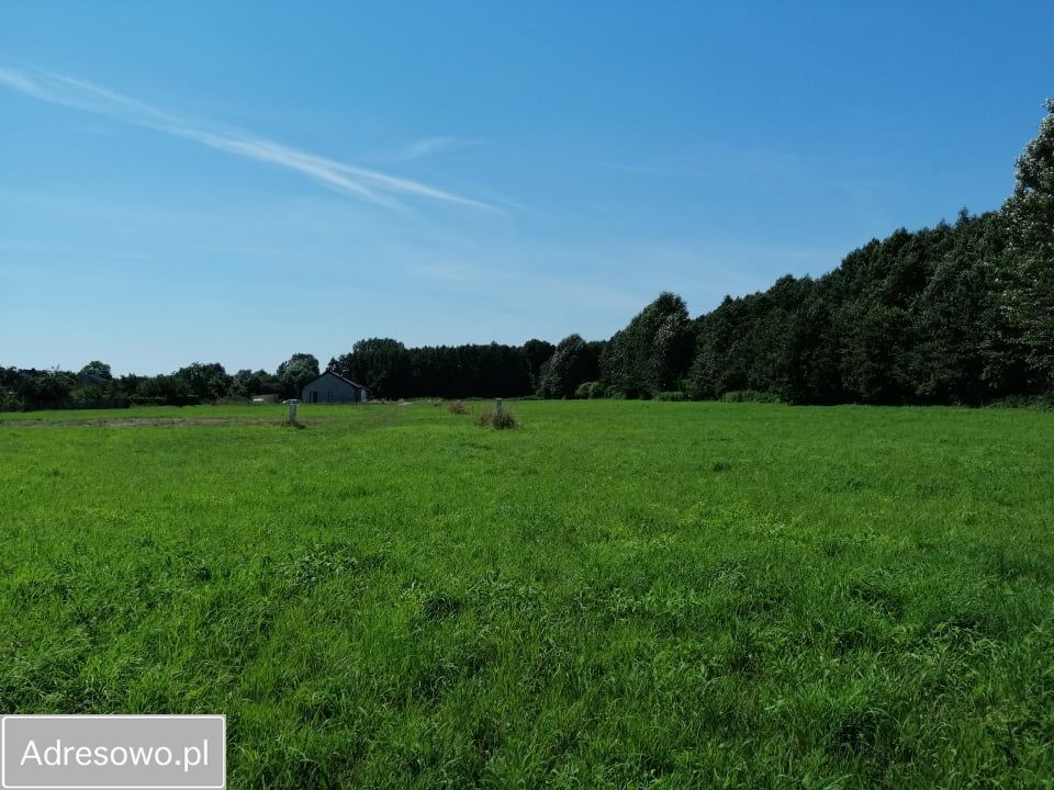 Działka budowlana Zasutowo, ul. Skrajna. Zdjęcie 4