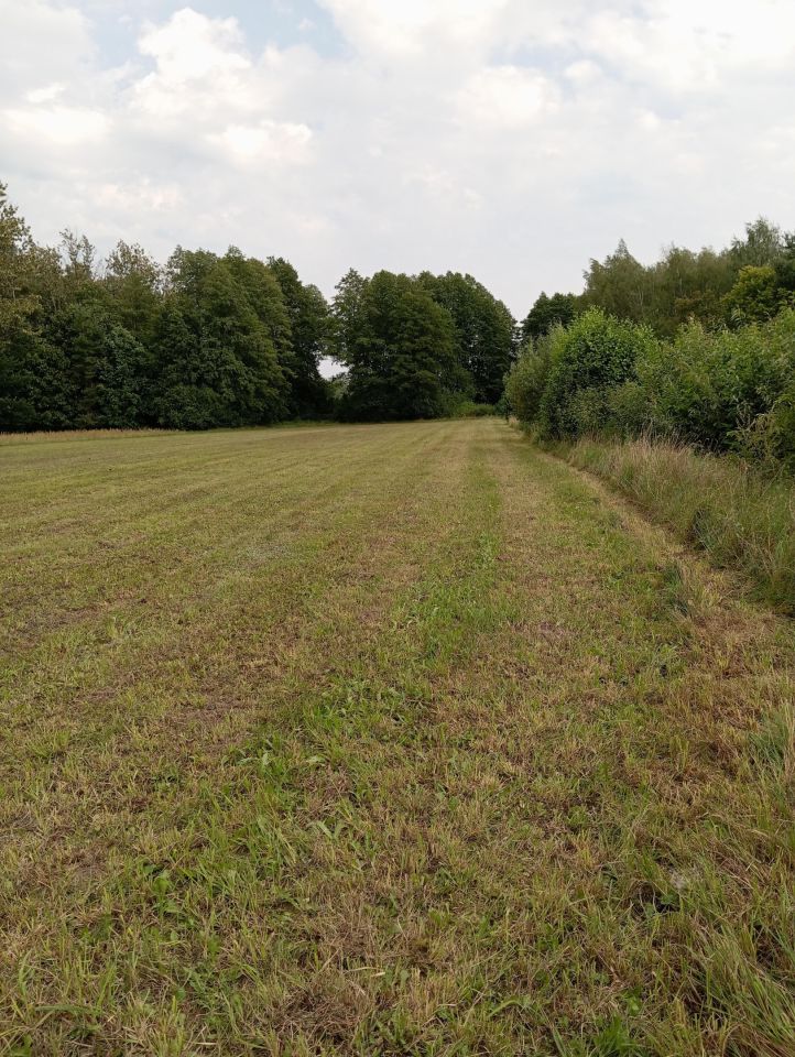 Działka budowlana Osówka. Zdjęcie 2