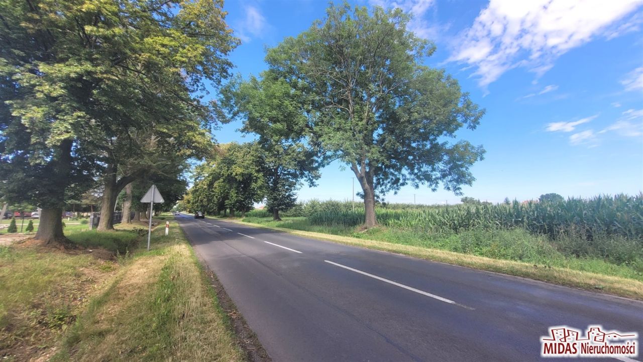 Działka budowlana Dobrzyń nad Wisłą. Zdjęcie 8
