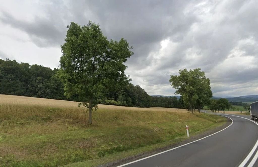 Działka inwestycyjna Sady Dolne. Zdjęcie 5