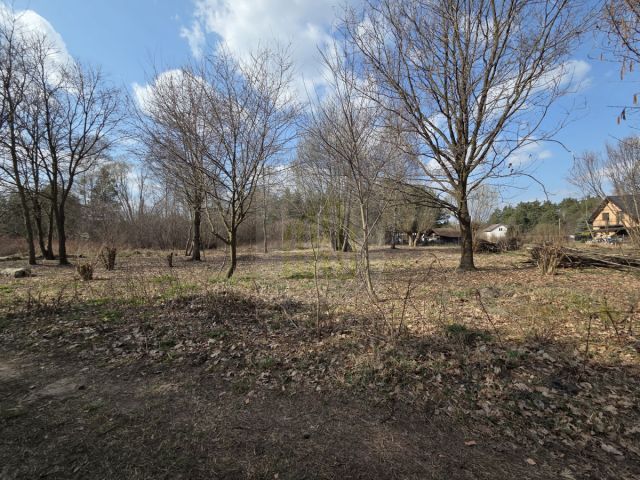 Działka budowlana Międzyborów. Zdjęcie 8